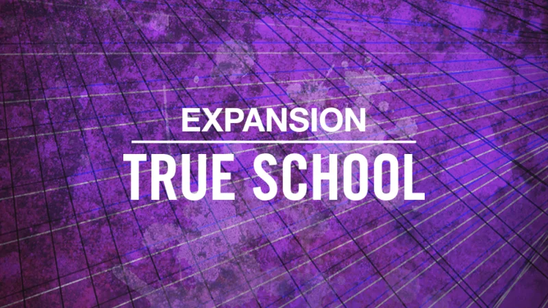 Native Instruments True School