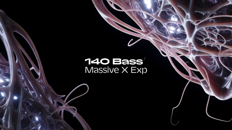 Native Instruments 140 Bass