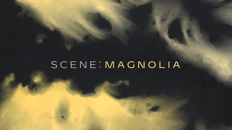 Native Instruments Scene: Magnolia