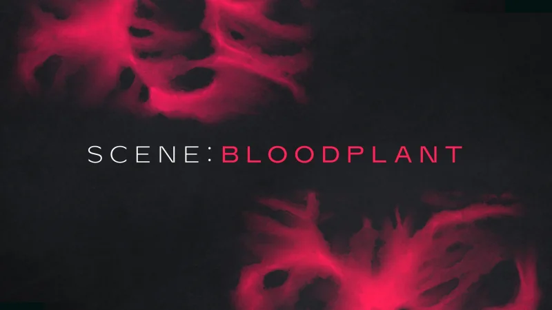 Native Instruments Scene: Bloodplant