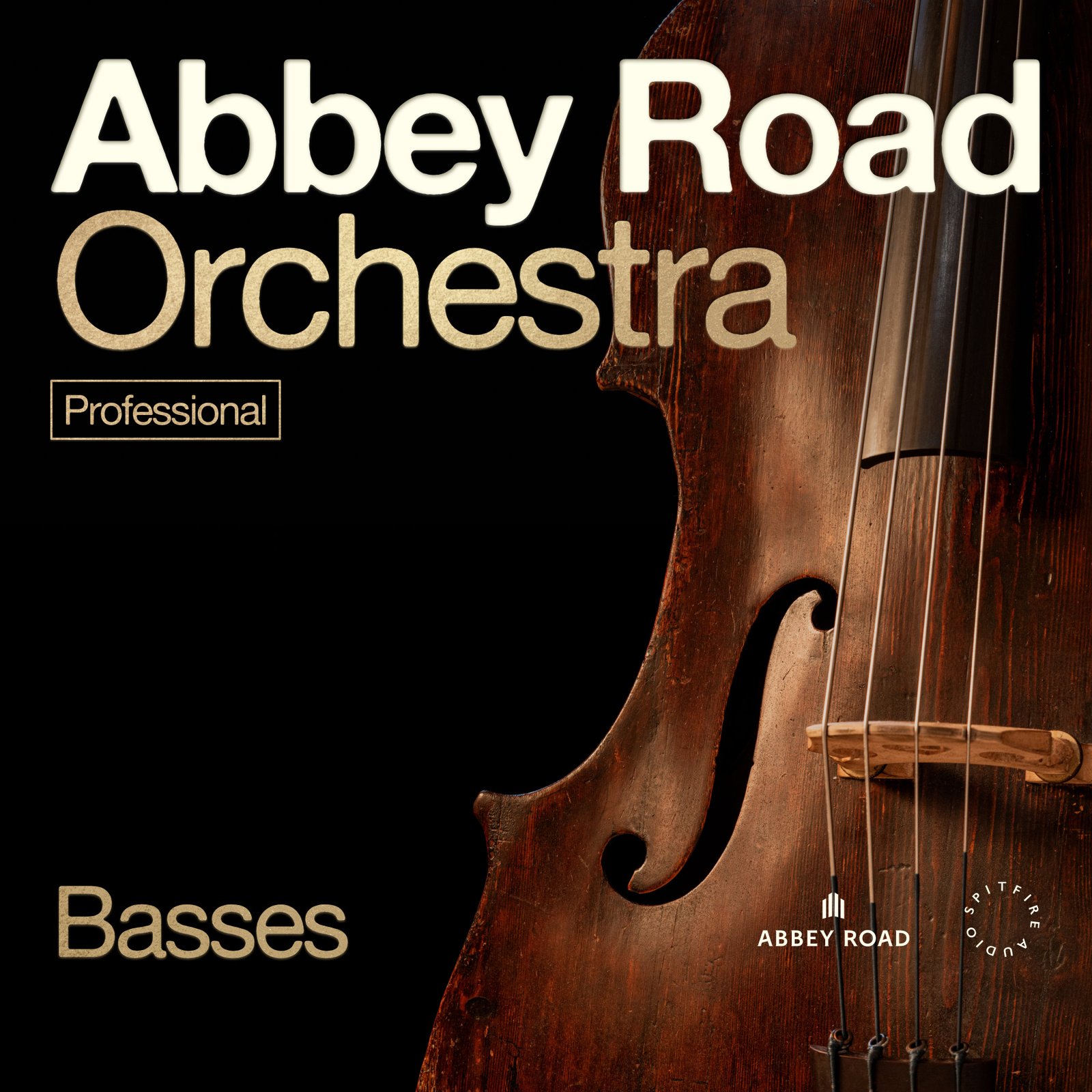Spitfire Audio Abbey Road Orchestra: Basses Professional