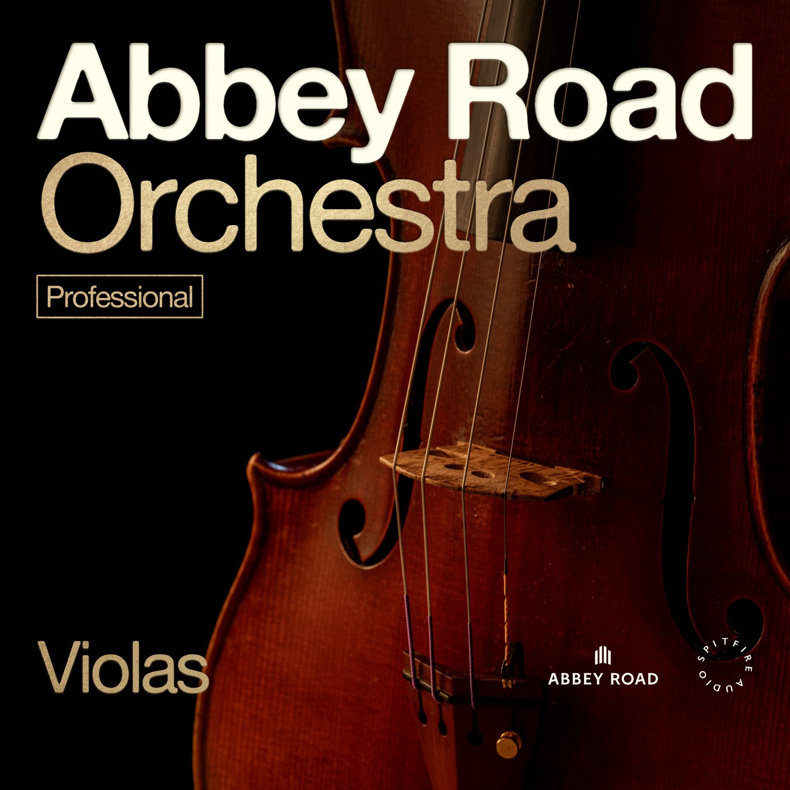 Spitfire Audio Abbey Road Orchestra: Violas Professional