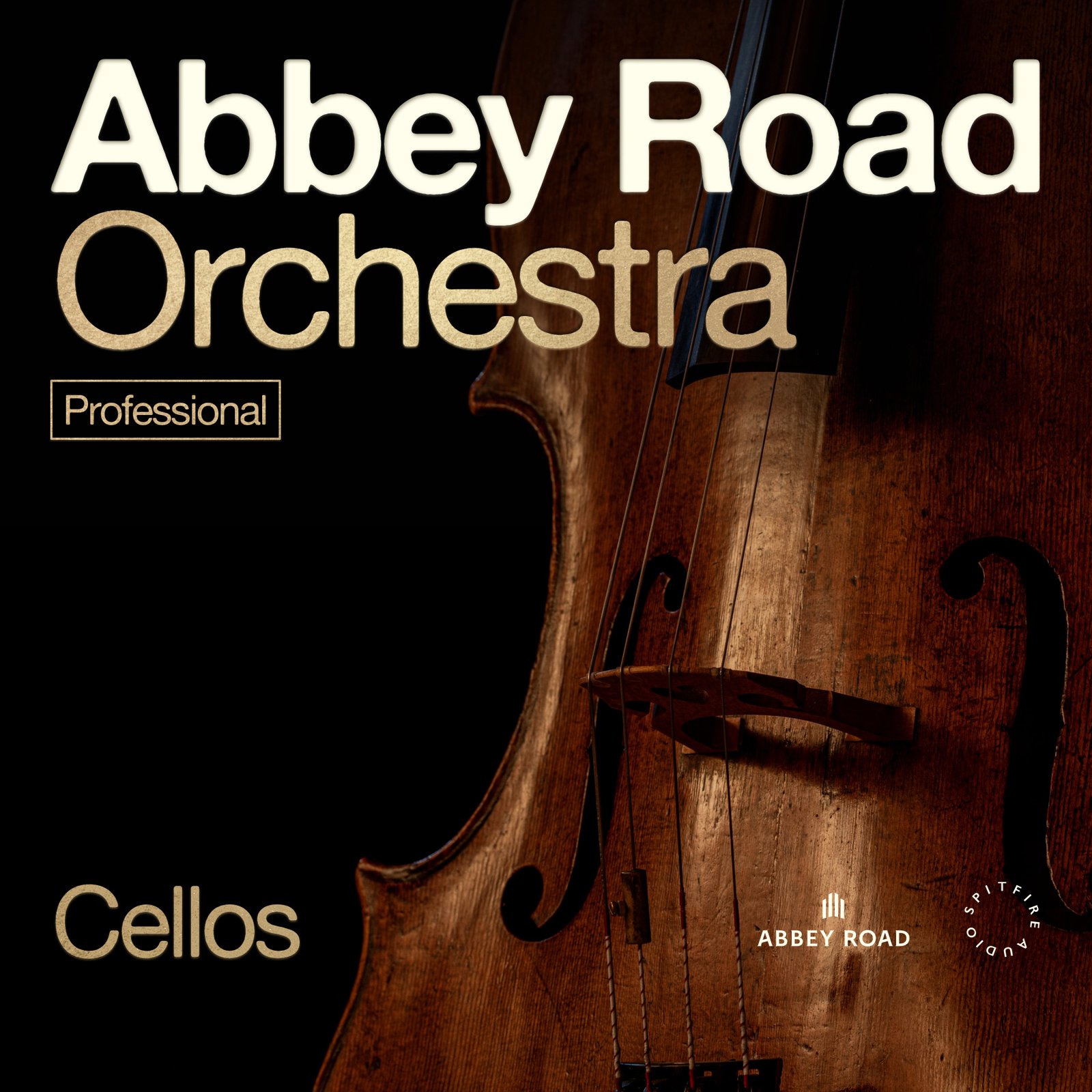 Spitfire Audio Abbey Road Orchestra: Cellos Professional