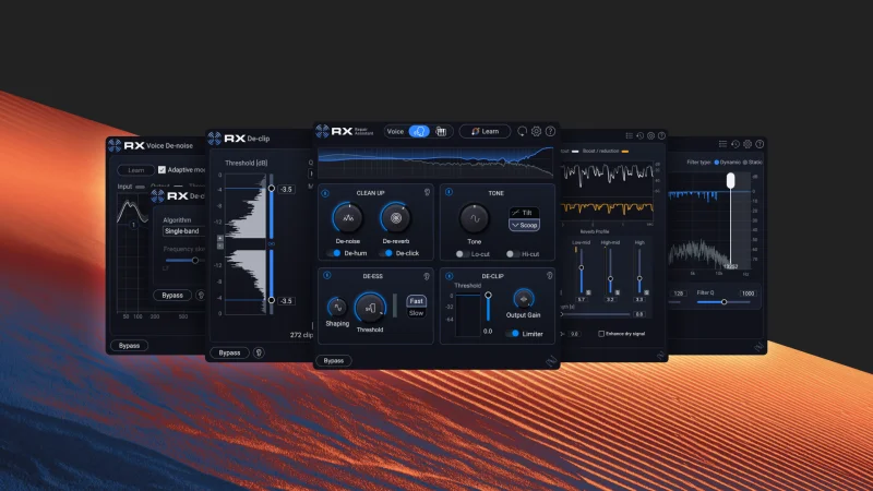 iZotope RX 12 Elements