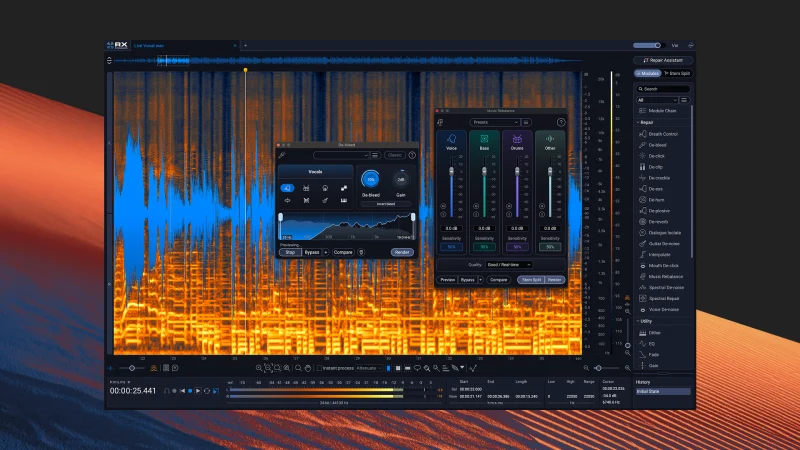 iZotope RX 12 Standard