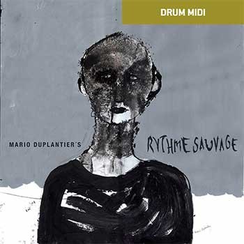 Rythme Sauvage MIDI