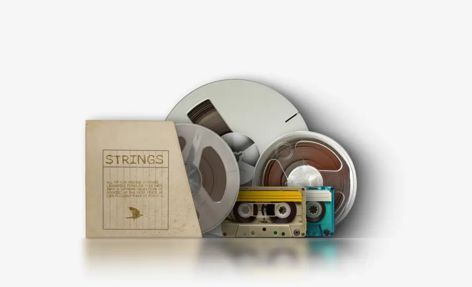 Strings Bundle