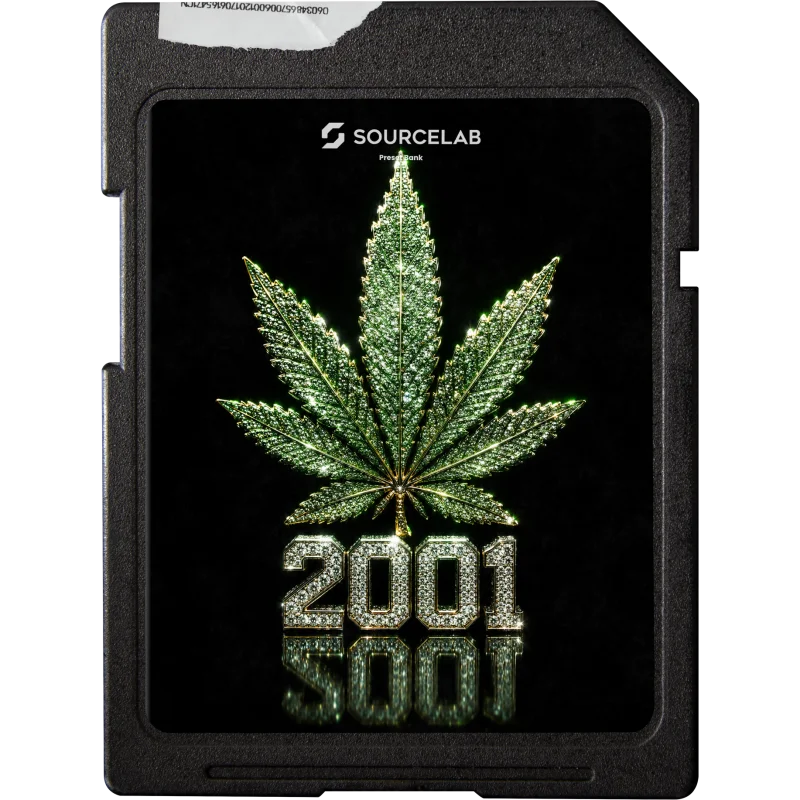 2001 – SourceLab Expansion
