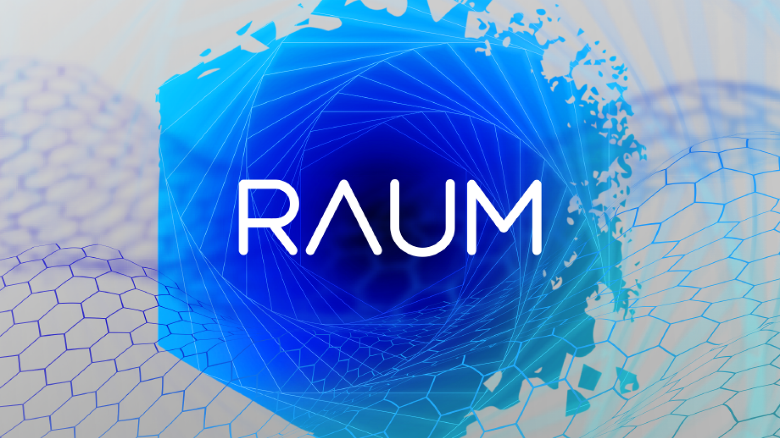 Native Instruments Raum