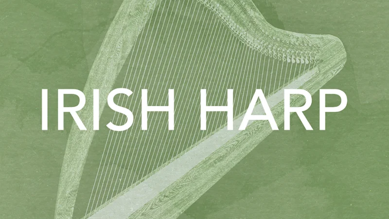 Native Instruments Irish Harp