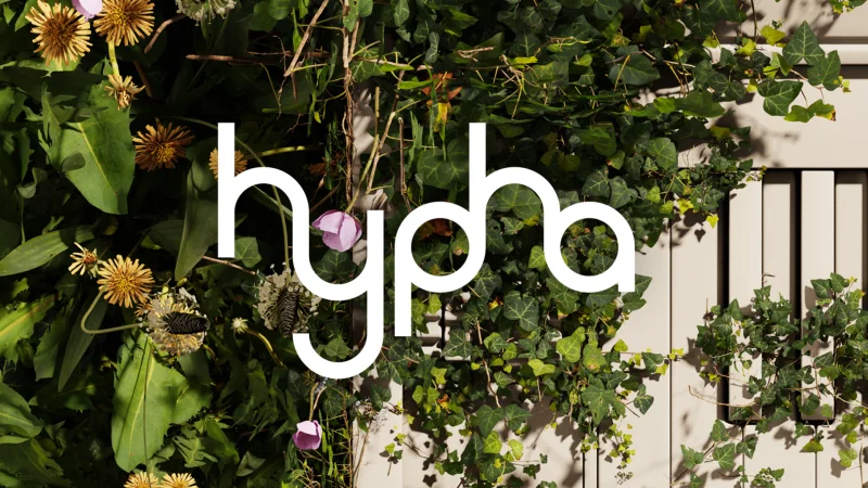 Native Instruments Hypha