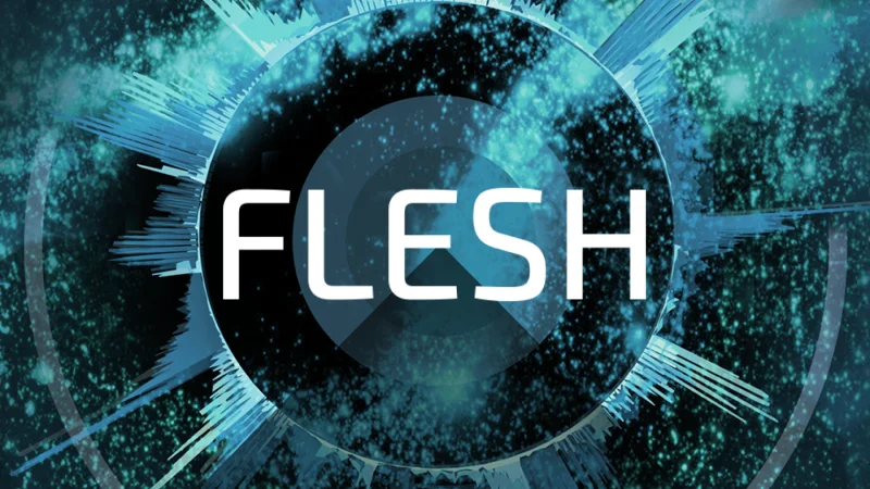 Native Instruments Flesh
