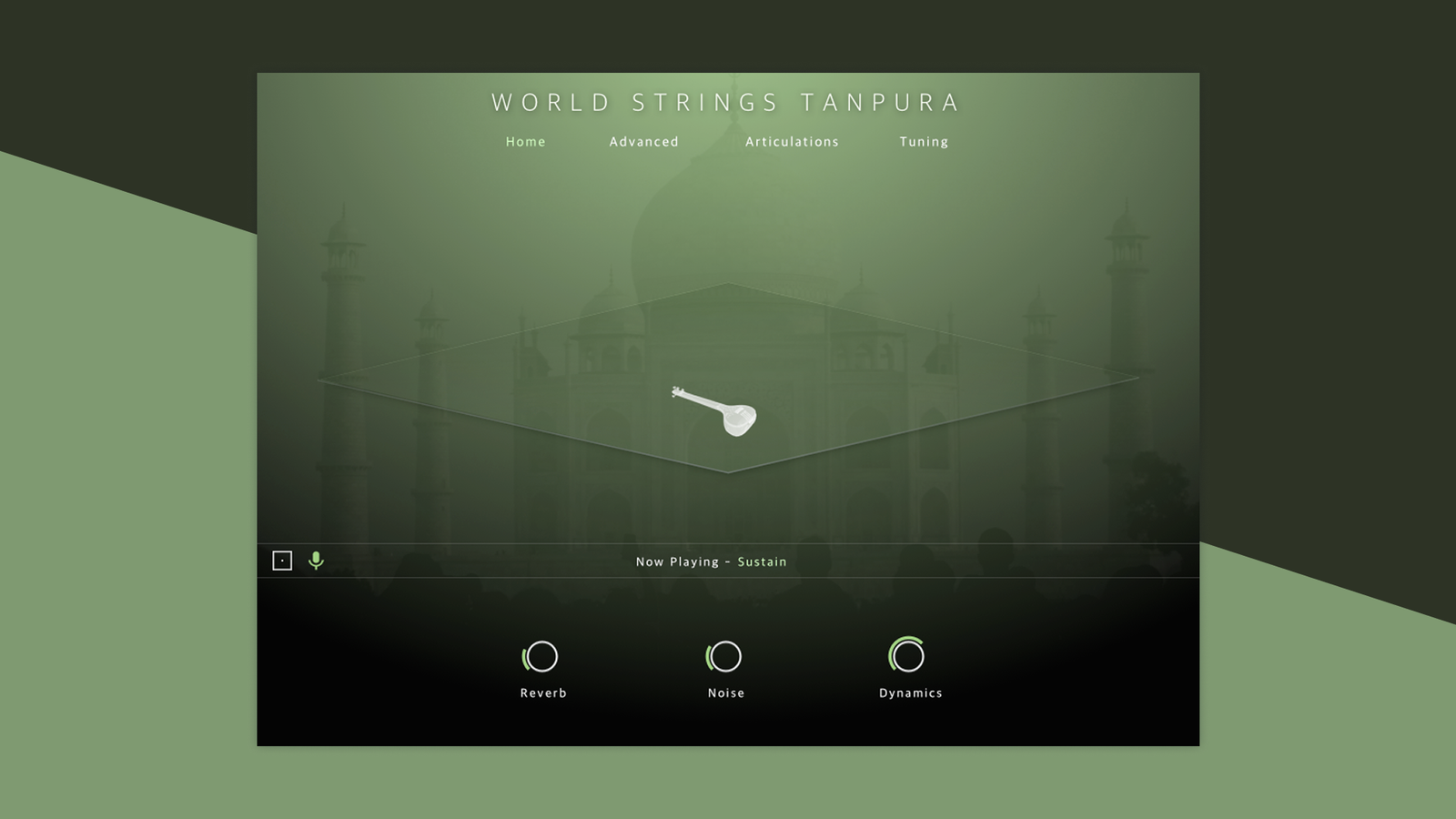 Evolution Series World Strings Tanpura