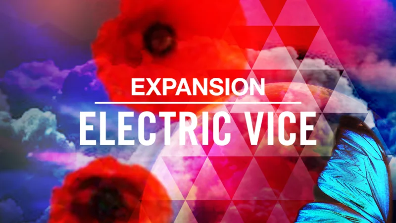 Native Instruments Electric Vice