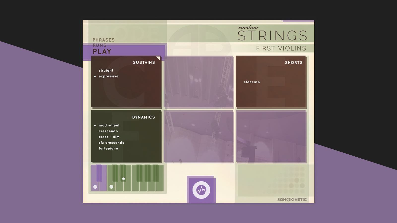Sonokinetic Sordino Strings