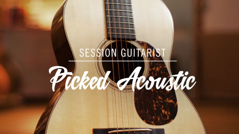 Native Instruments Session Guitarist - Picked Acoustic