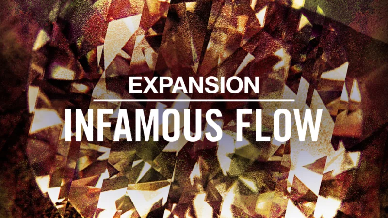 Native Instruments Infamous Flow