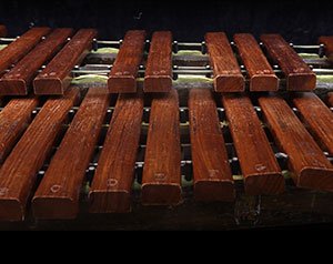 Soniccouture Xylophone