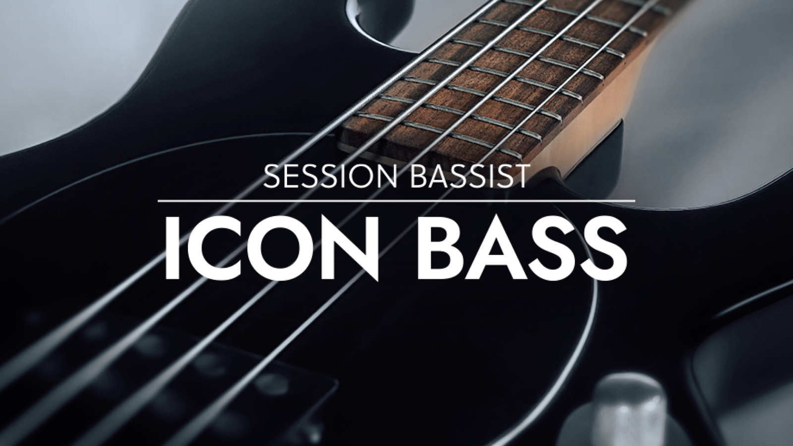 Native Instruments Session Bassist - Icon Bass