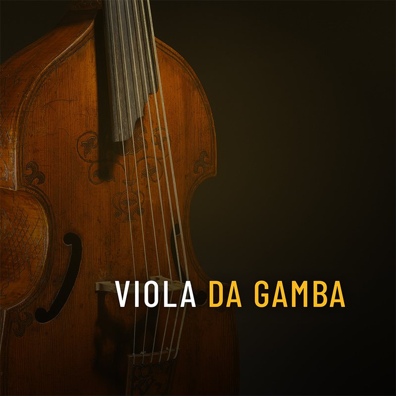 Cinesamples Viola Da Gamba