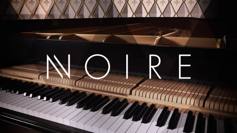 Native Instruments Noire