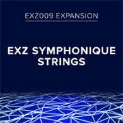 Roland EXZ009 Symphonique Strings