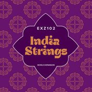 Roland EXZ102 India Strings