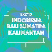 Roland EXZ110 Indonesia Bali Sumatra Kalimantan