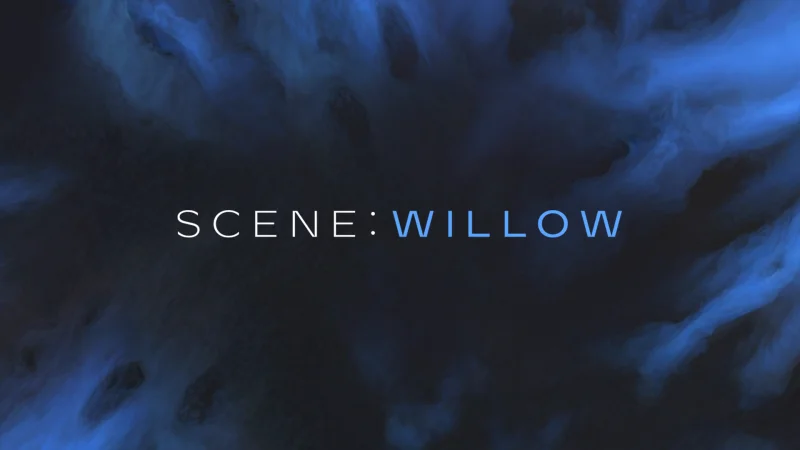 Native Instruments Scene: Willow